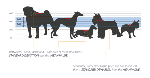 8_bis-768x402